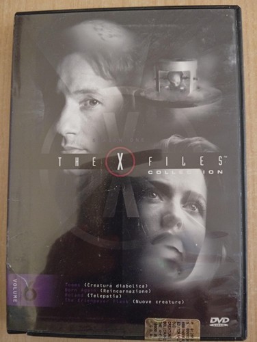 Dvd files collection - dvd,
